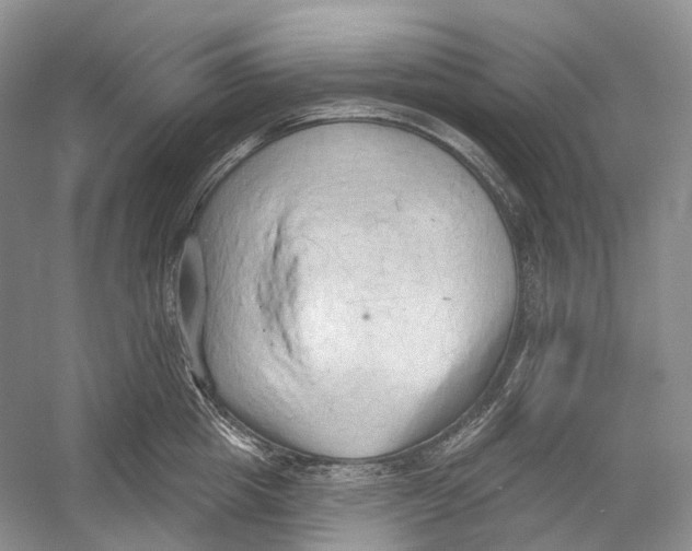 X0000054360857200508262313