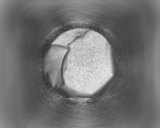 X0000054360870200508262312