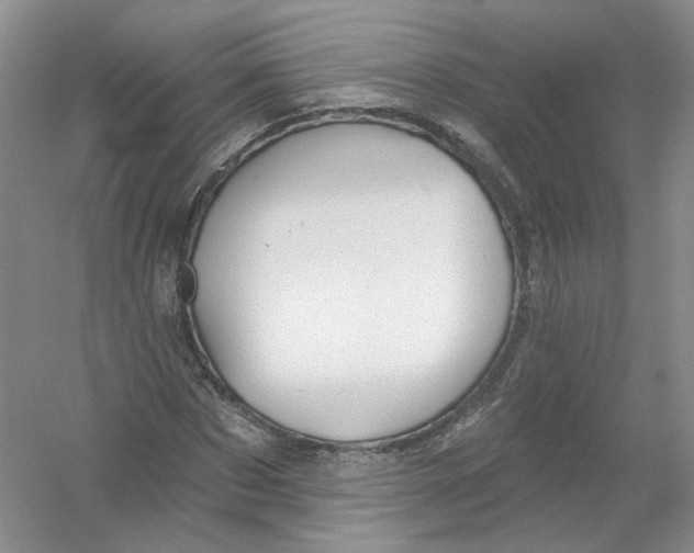 X0000054360873200508262312