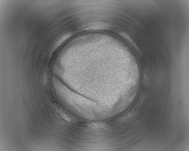 X0000054360874200508262312