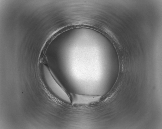 X0000054360876200508262312
