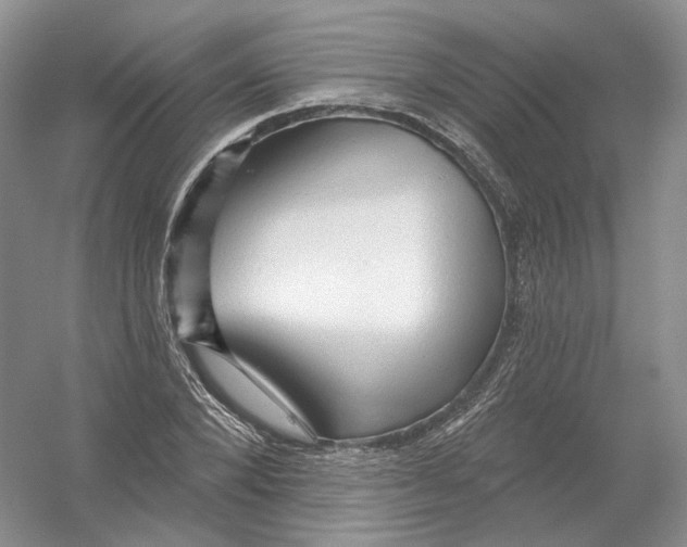 X0000054360880200508262312