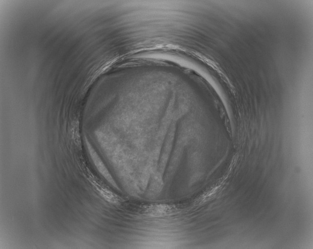 X0000054360881200508262312