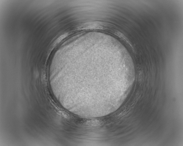 X0000054360882200508262312