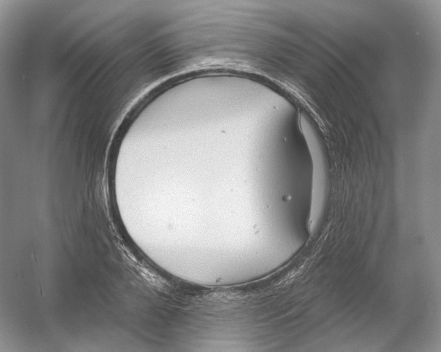 X0000054360888200508262312