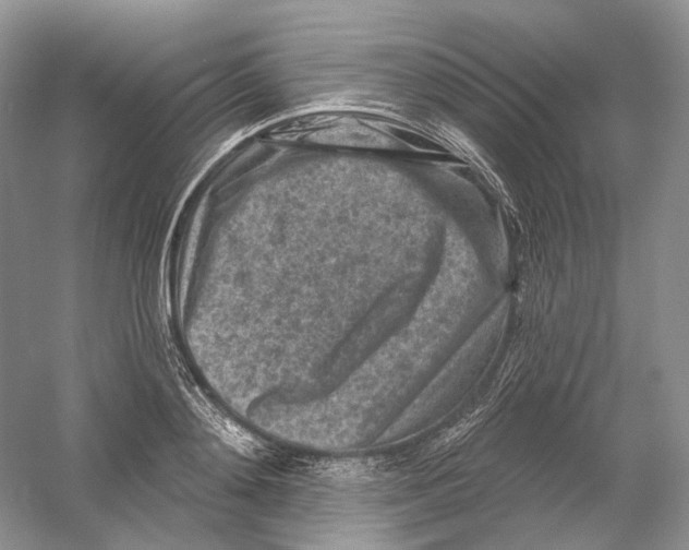 X0000054360892200508262312