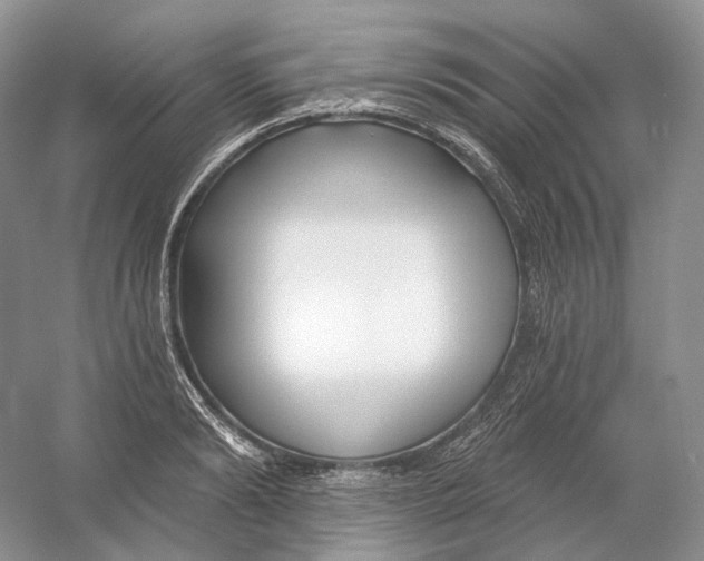 X0000054360894200508262312