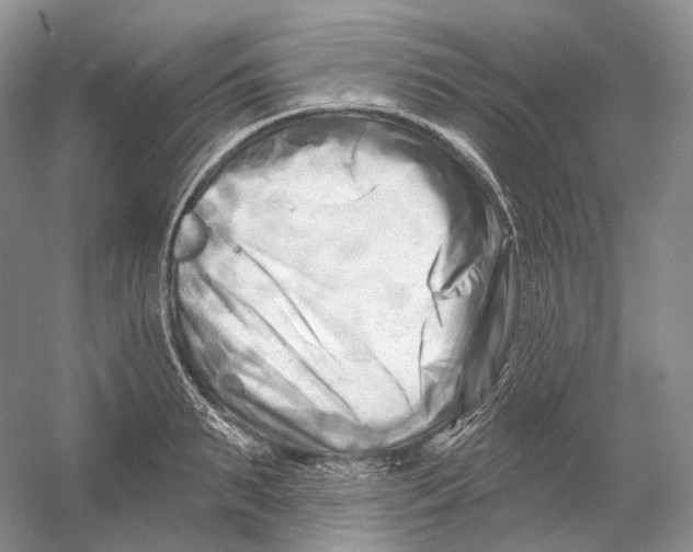 X0000054360895200508262312