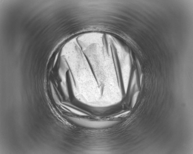 X0000054360896200508262312