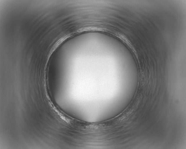 X0000054360898200508262311