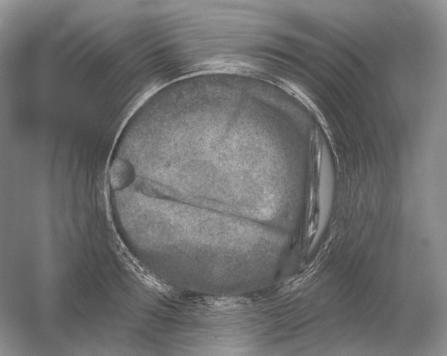 X0000054360899200508262311