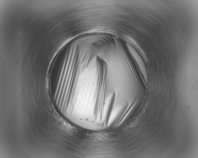 X0000054360900200508262311