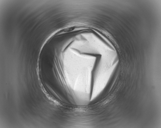 X0000054360904200508262311