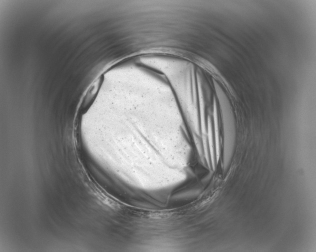 X0000054360908200508262311