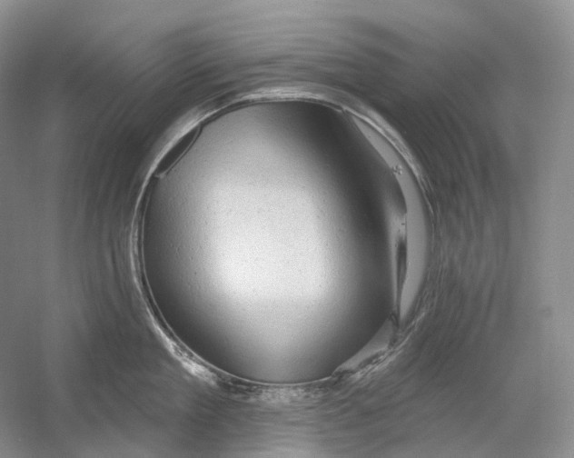 X0000054360909200508262311