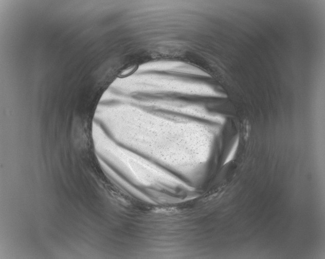 X0000054360915200508262310