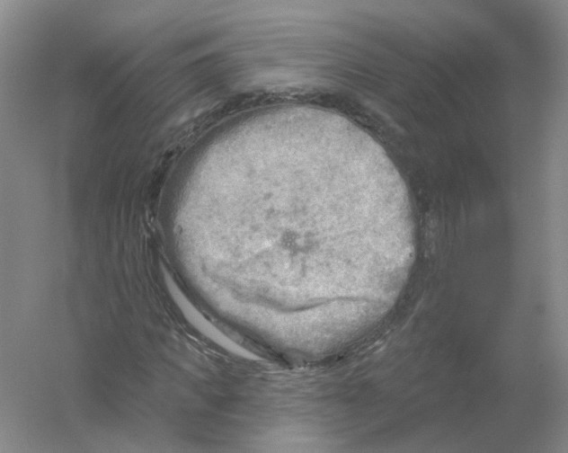 X0000054360917200508262310
