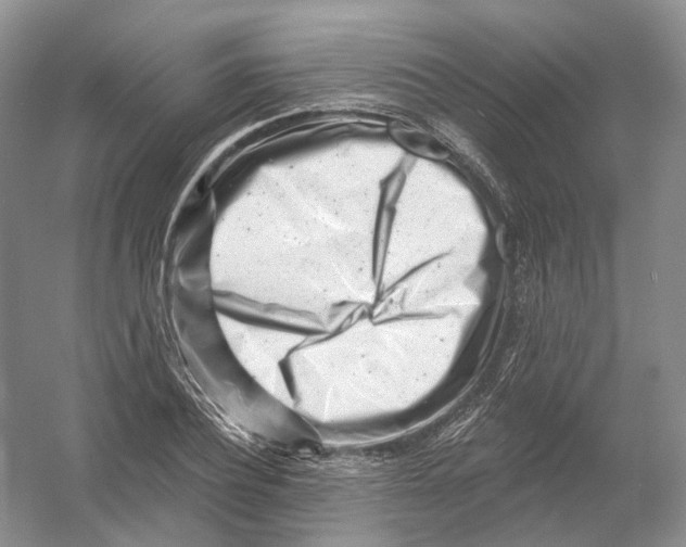 X0000054360932200508262311
