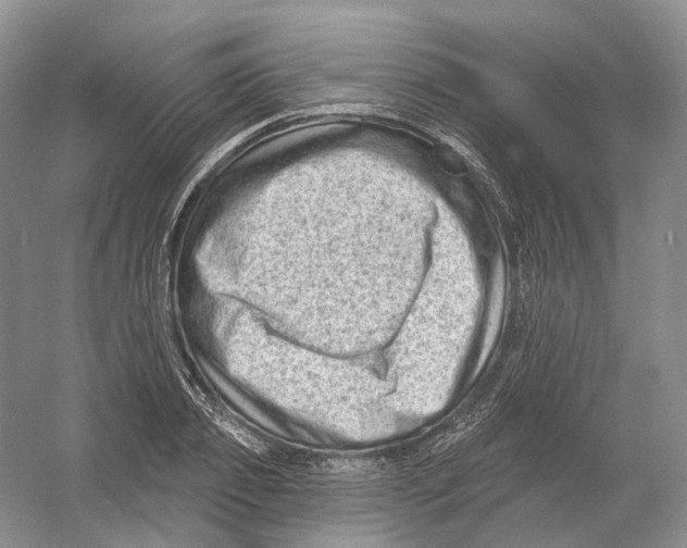 X0000054360933200508262311