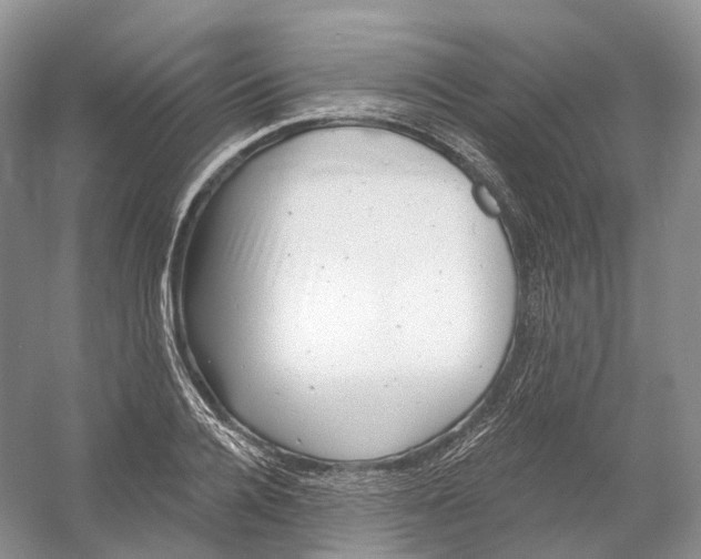 X0000054360936200508262311