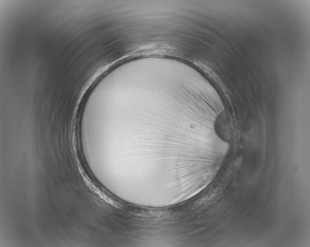 X0000054360941200508262311