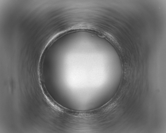 X0000054360942200508262311