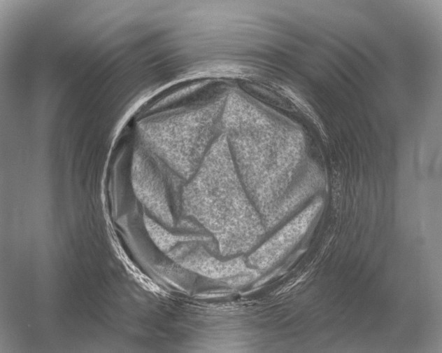 X0000054360944200508262311