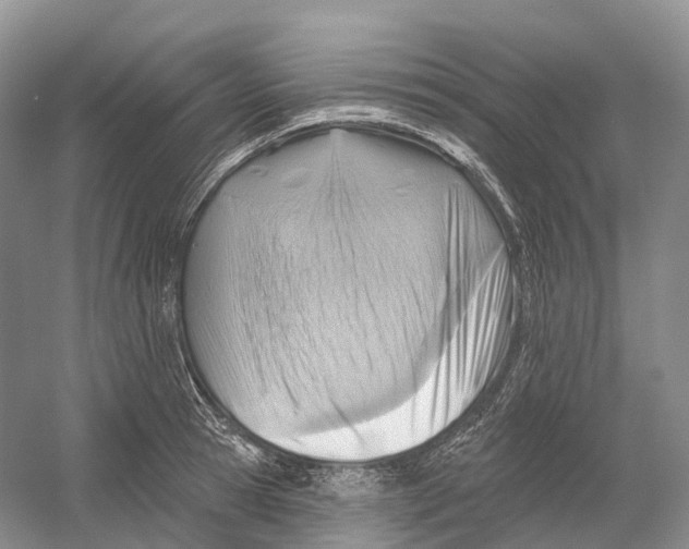 X0000054360945200508262311