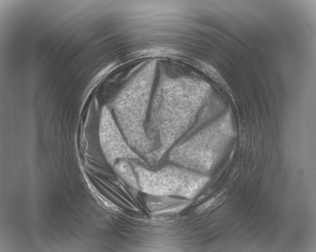 X0000054360946200508262311