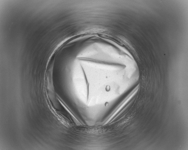X0000054360948200508262311