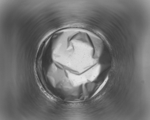 X0000054360952200508262311