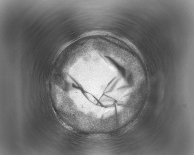 X0000054360953200508262311