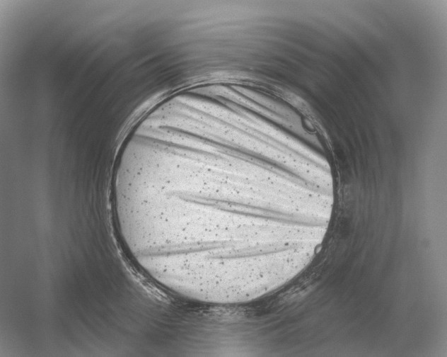 X0000054360954200508262311