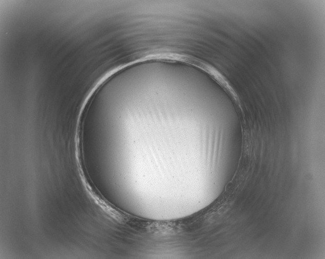X0000054360955200508262311