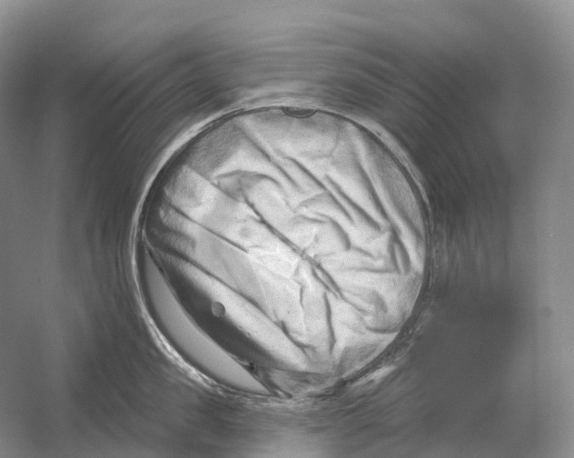 X0000054360957200508262311