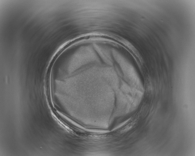 X0000054360958200508262311