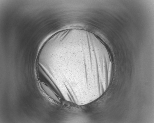 X0000054360960200508262311