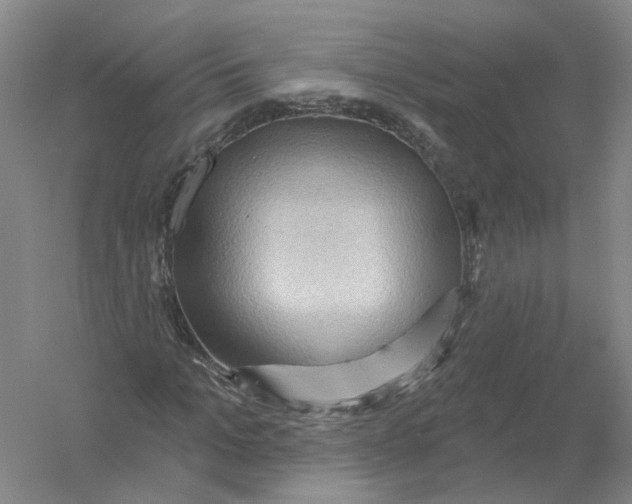 X0000054360965200508262310