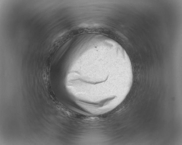 X0000054360966200508262310