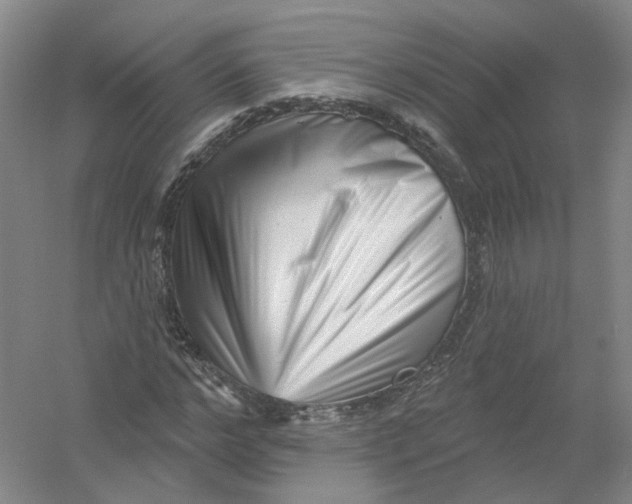 X0000054360968200508262310