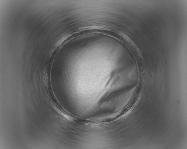 X0000054360969200508262310
