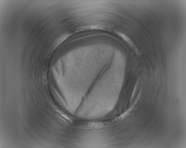 X0000054360977200508262310