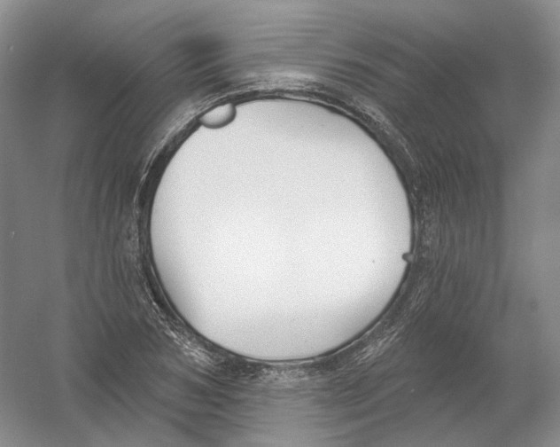 X0000054360978200508262310