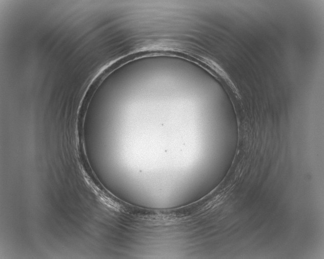 X0000054360980200508262310
