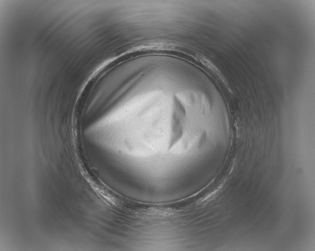 X0000054360981200508262310