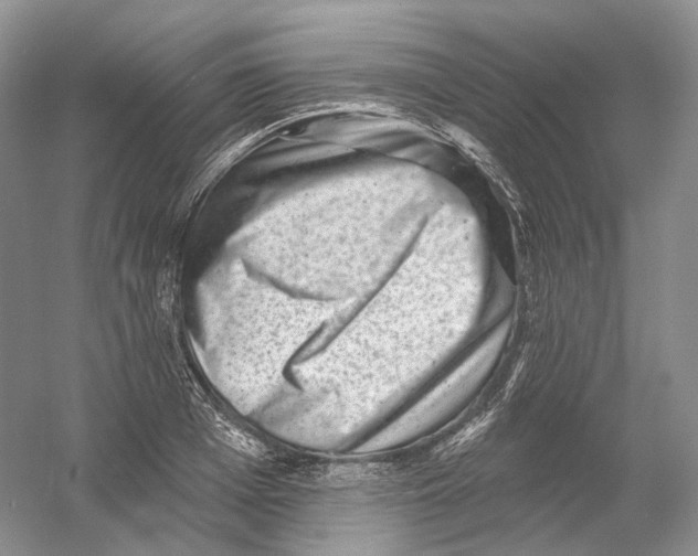 X0000054360985200508262310