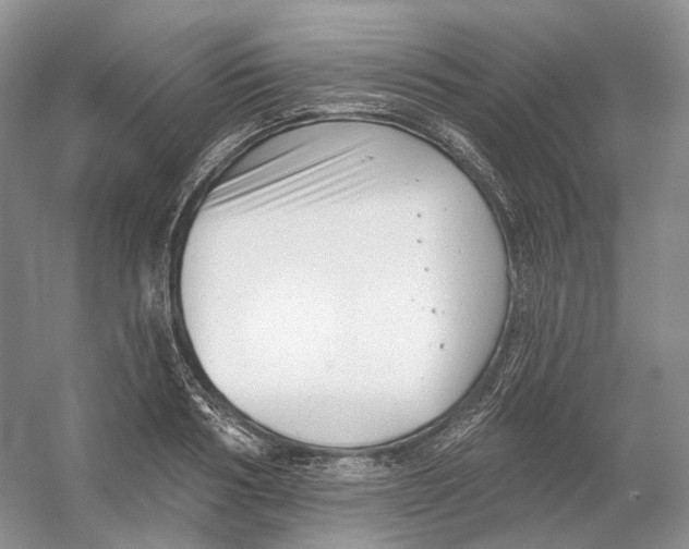 X0000054360986200508262310