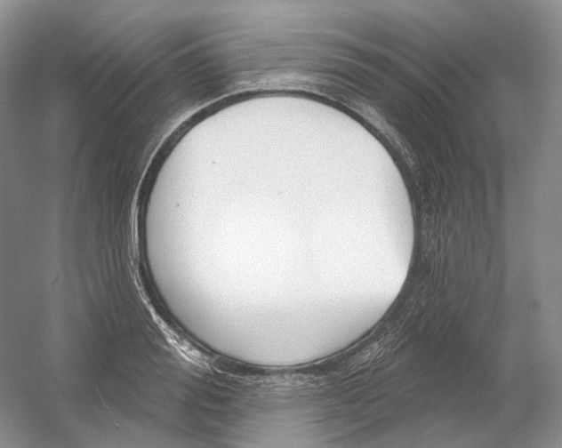 X0000054360988200508262310