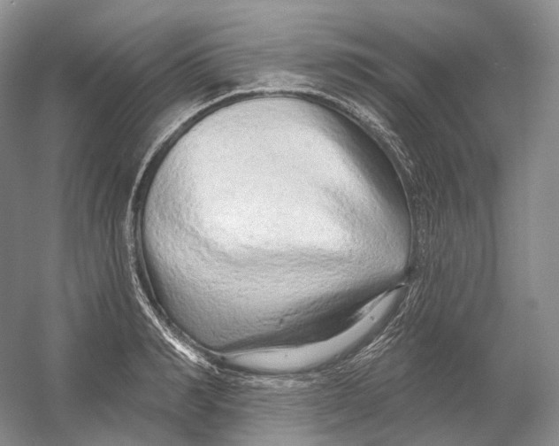 X0000054360990200508262310