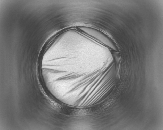X0000054360991200508262310